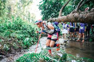 BIB: 
                            <button type="button" onclick="openModal(25475060)" class="btn btn-primary btn-sm float-right btn-popup" data-toggle="modal" data-target=".modal-high-quality">
                        <i class="fas fa-shopping-cart"></i> Add to Cart
                    </button>
                                            <button type="button" onclick="isThisMe(25475060, true)" class="btn btn-success btn-sm float-right btn-popup btn-isme hidden" data-toggle="tooltip" data-placement="bottom" title="นี่คือรูปของคุณใช่ไหม คลิกที่นี่เพื่อเอาเข้าอัลบั้ม">
                        <i class="fas fa-plus"></i> Add to album
                    </button>
                    <button type="button" onclick="isThisMe(25475060, false)" class="btn btn-warning btn-sm float-right btn-popup btn-isnotme hidden">
                        <i class="fas fa-ban"></i> Remove from album
                    </button>